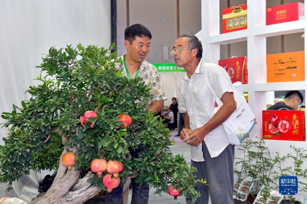 欢乐游戏公司